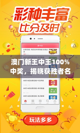 澳门王中王100%期期准，详细解答、全面解答解释落实